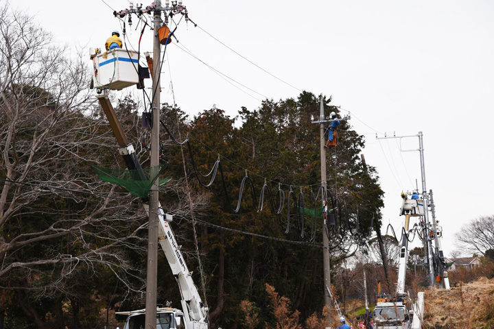 小学生が大学の先生に質問