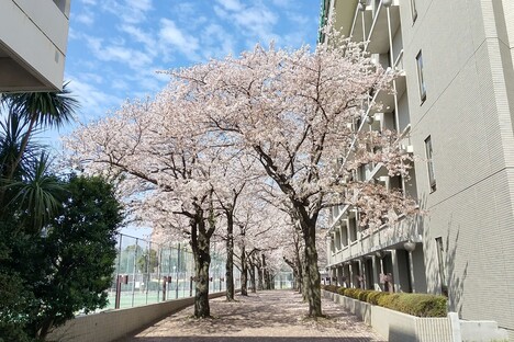 首都圏進学まるわかり講座