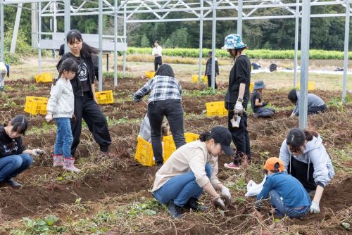 学生環境団体SONEブース