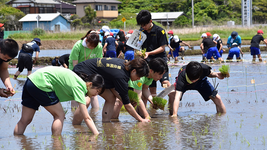 「千葉県誕生150周年記念 田んぼアート in 山武市 田植え＆田んぼで結婚式」