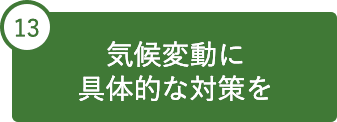 13 気候変動に具体的な対策を